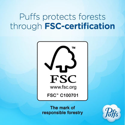 plus Lotion Facial Tissue, 1 Family Box, 124 Tissues per Box