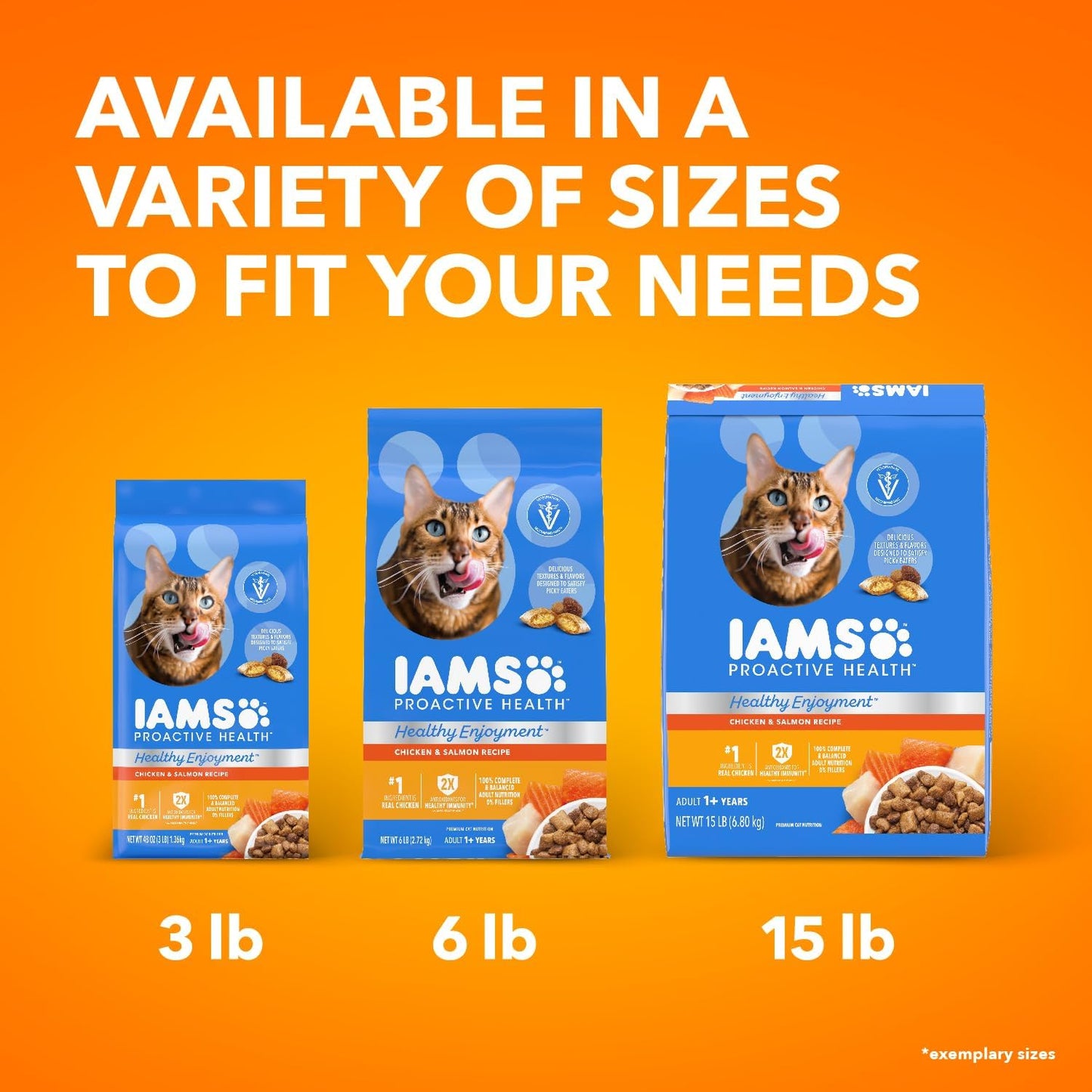 Healthy Enjoyment Dry Cat Food Chicken & Salmon Recipe, 3 Lb. Bag