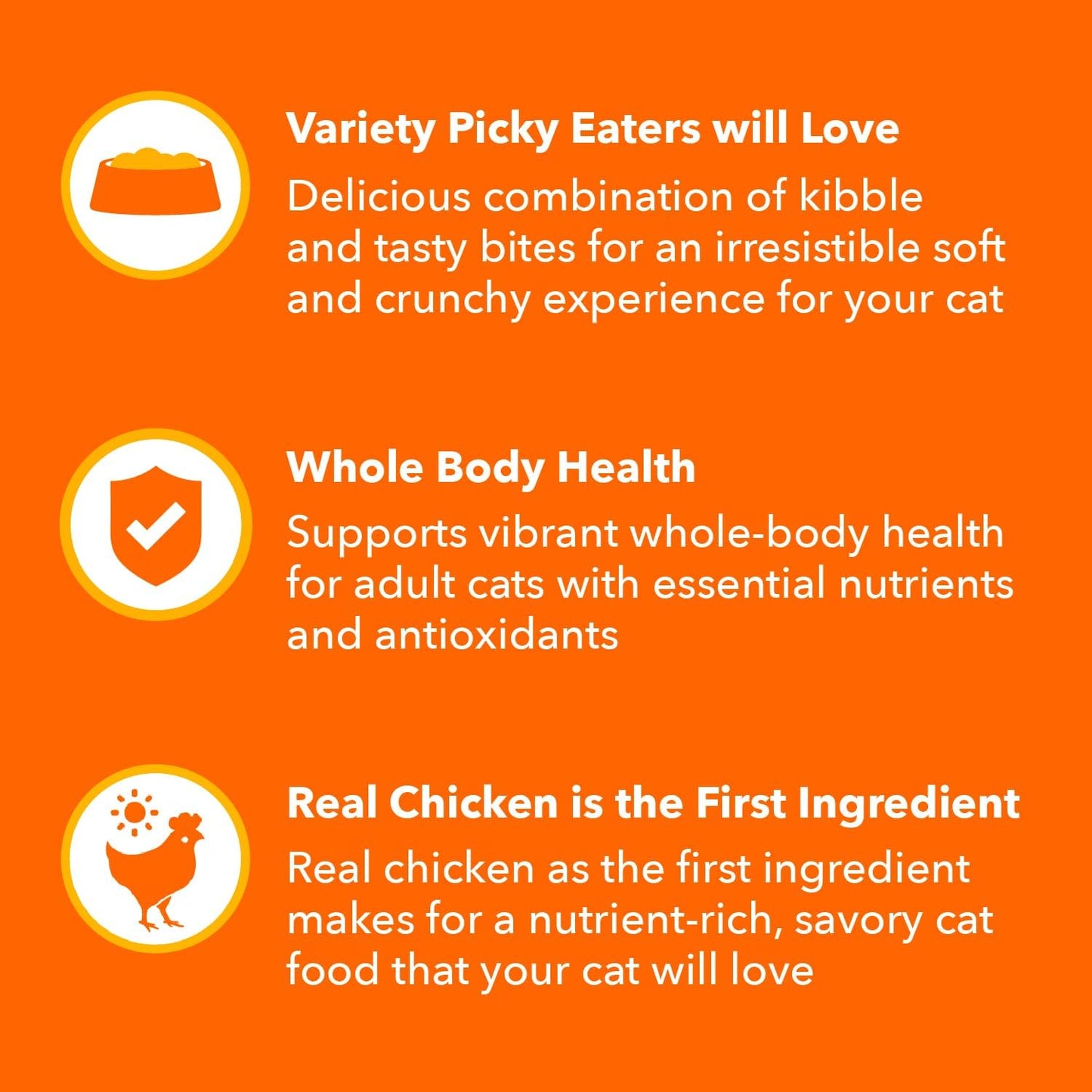 Healthy Enjoyment Dry Cat Food Chicken & Salmon Recipe, 3 Lb. Bag