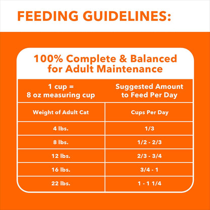 Healthy Enjoyment Dry Cat Food Chicken & Salmon Recipe, 3 Lb. Bag