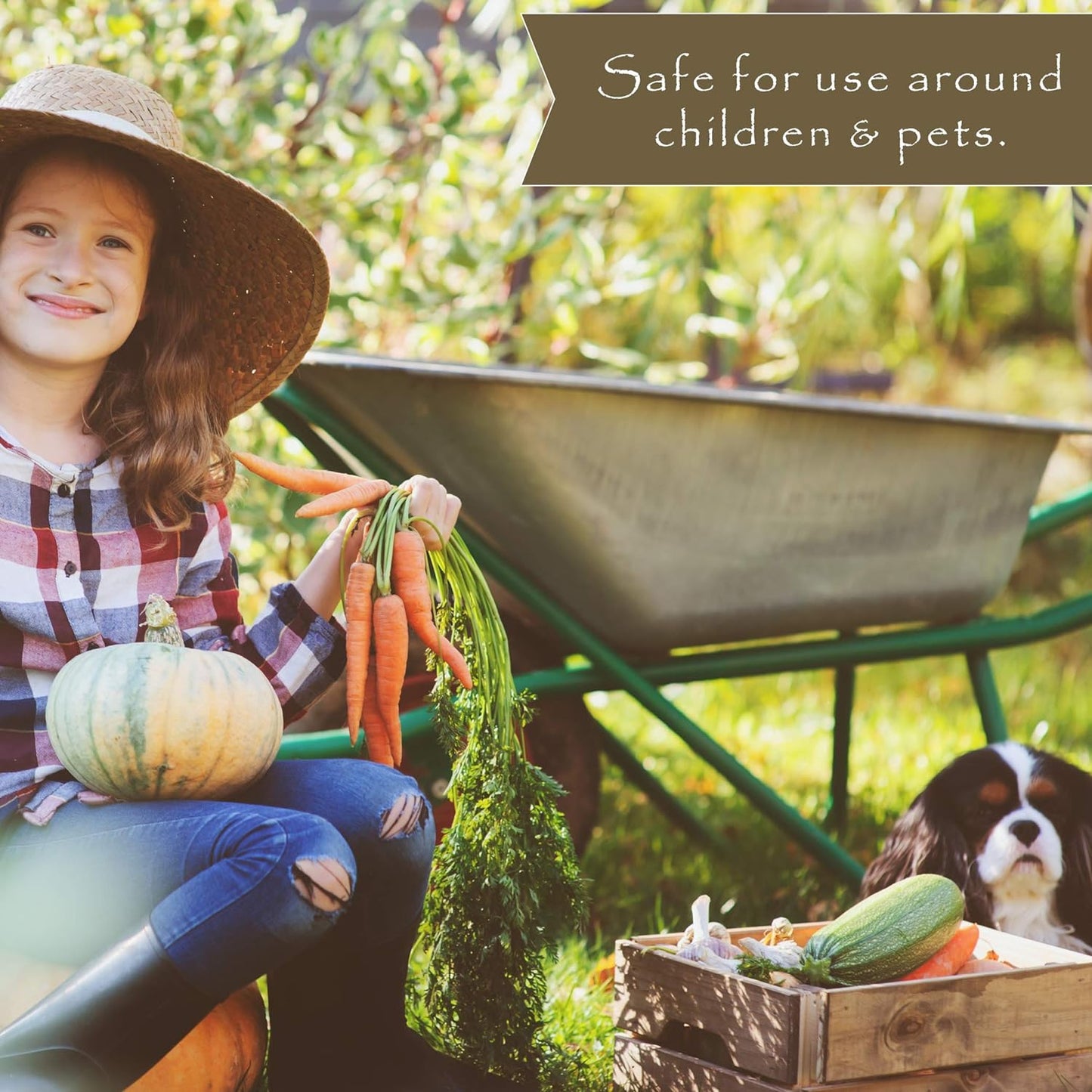 Natural Vegetable Garden Weed Preventer - 5 Lb. Bottle - Covers 250 Sq. Ft.