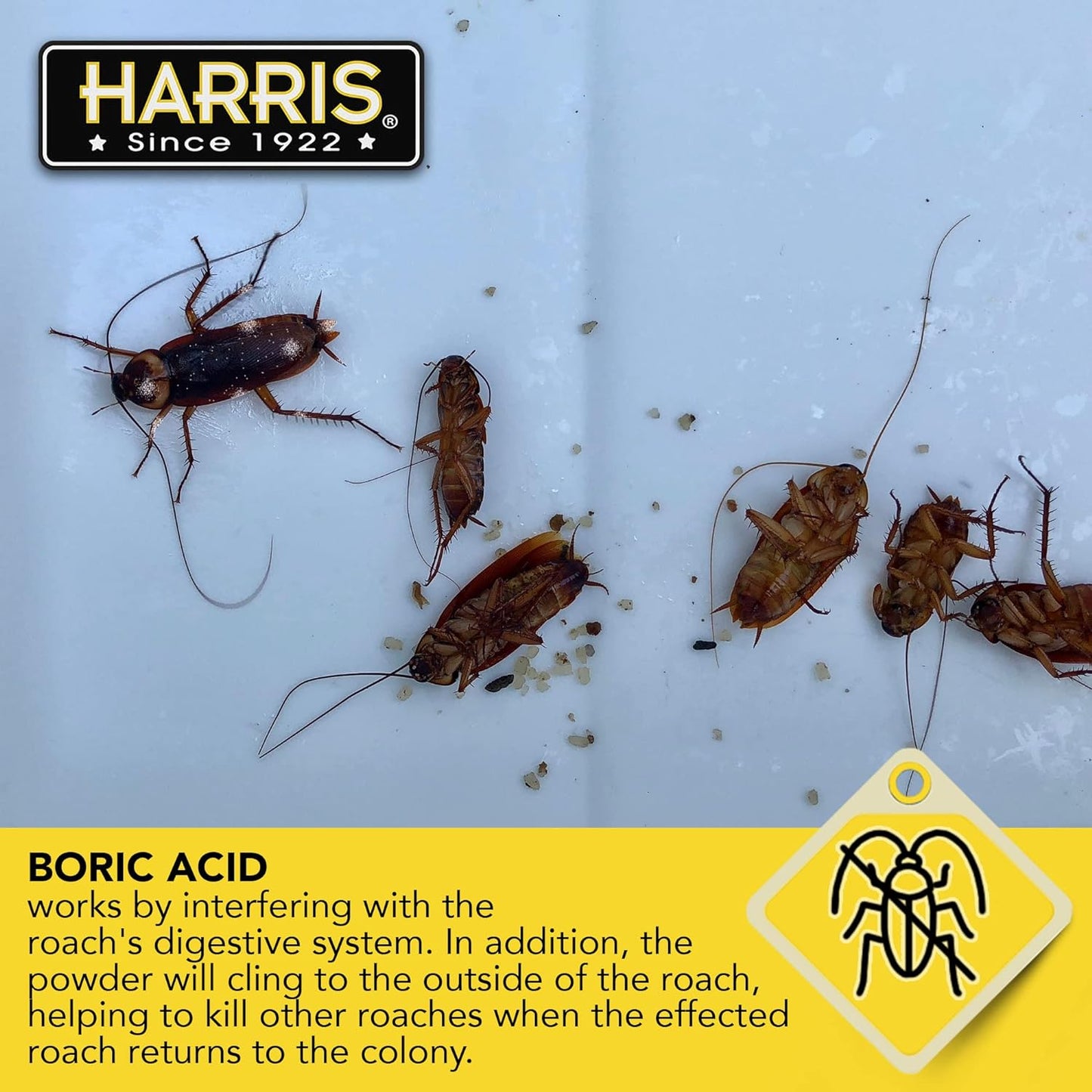 Boric Acid Roach and Silverfish Killer Powder W/Lure for Insects (16Oz)