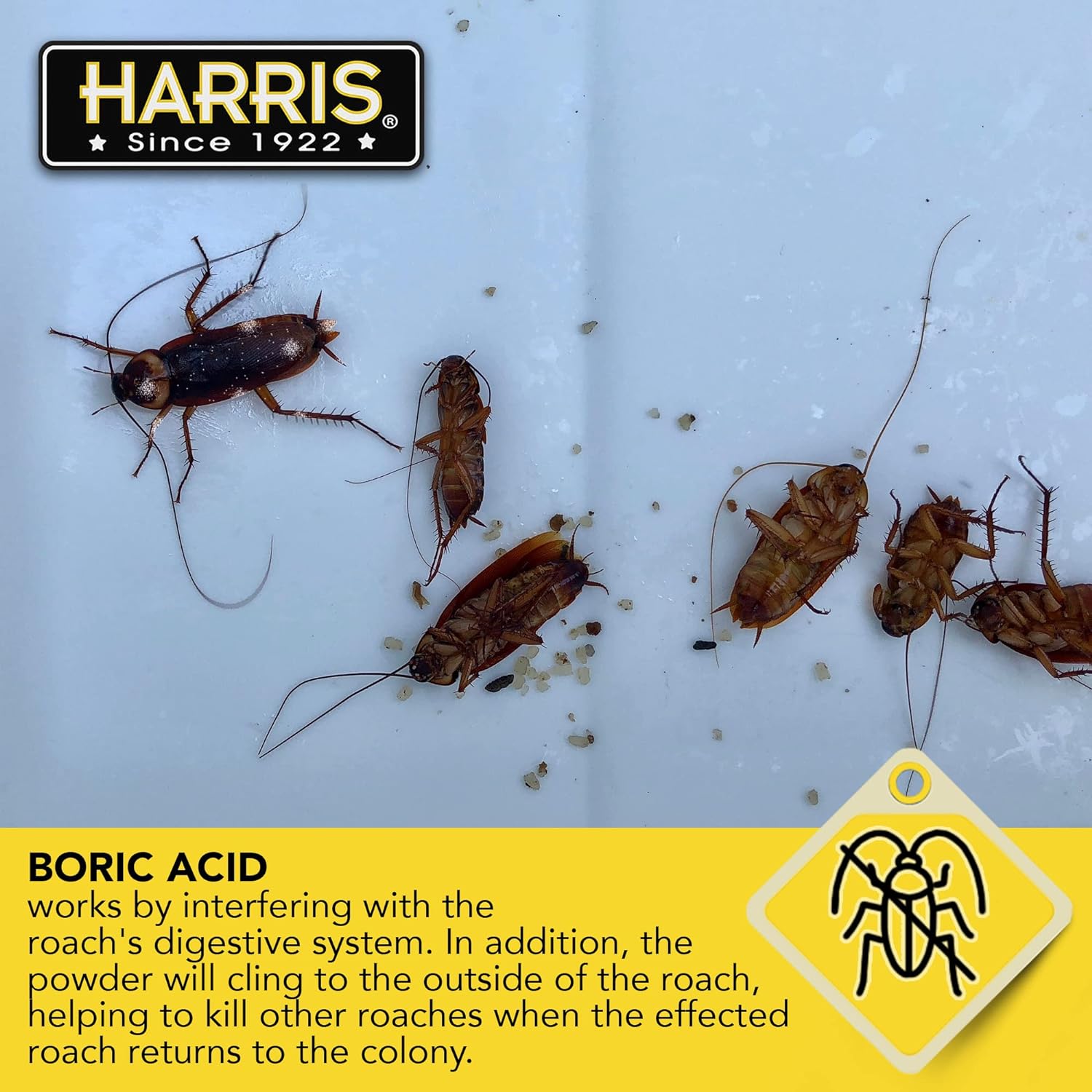 Boric Acid Roach and Silverfish Killer Powder W/Lure for Insects (16Oz)
