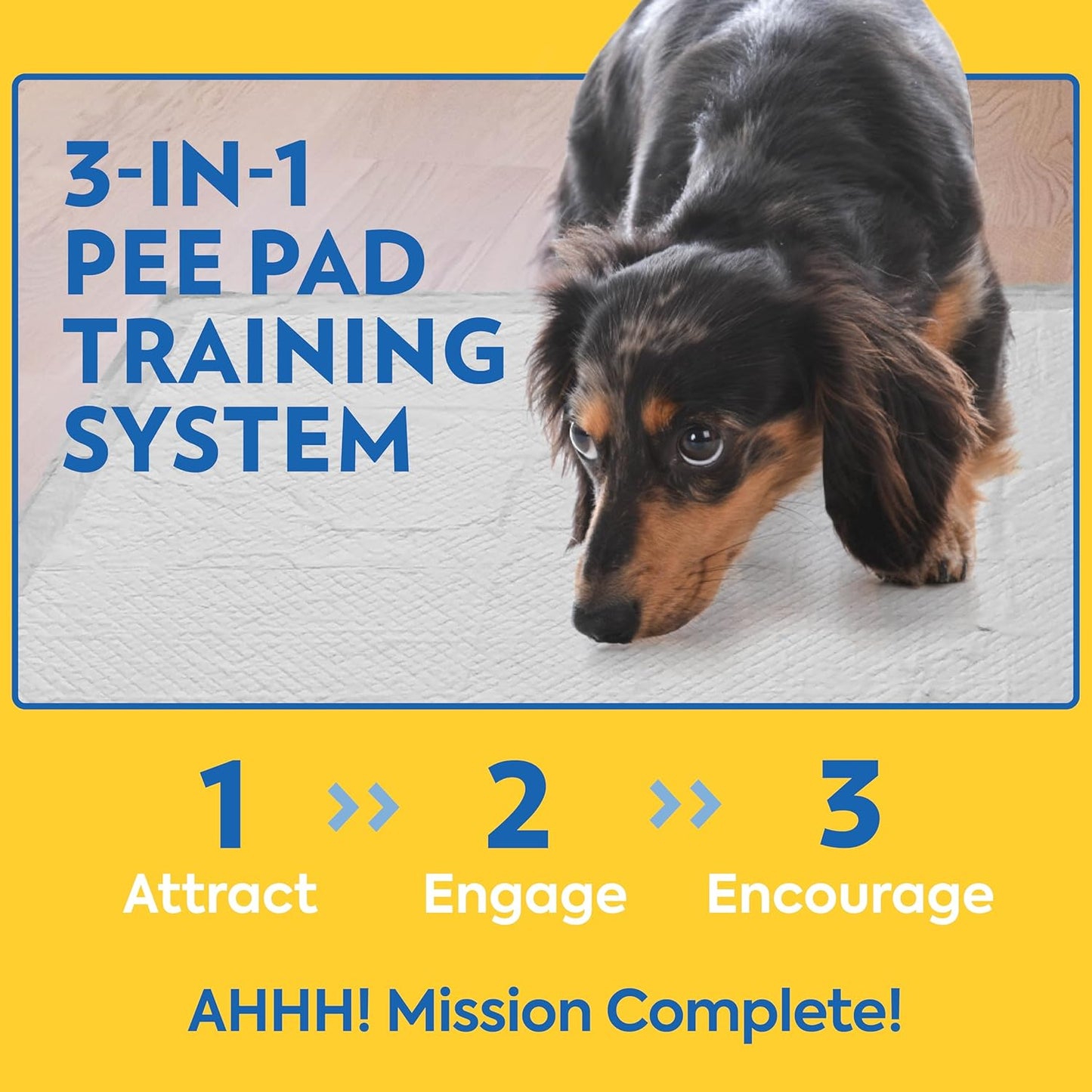 Petcare Puppy Pads XXL, Heavy Duty, Leak Proof Pee Pads for Dogs, Potty Training & Housebreaking, Puppy Essentials (26"X30", 30 Count)