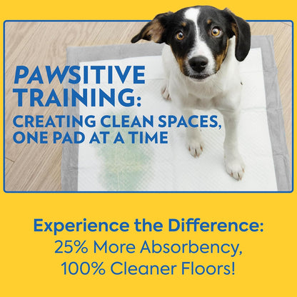 Petcare Puppy Pads XXL, Heavy Duty, Leak Proof Pee Pads for Dogs, Potty Training & Housebreaking, Puppy Essentials (26"X30", 30 Count)