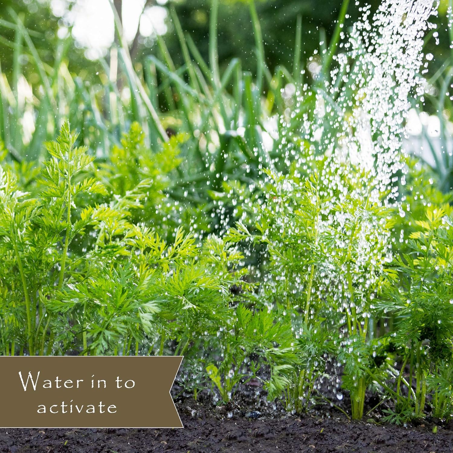 Natural Vegetable Garden Weed Preventer - 5 Lb. Bottle - Covers 250 Sq. Ft.